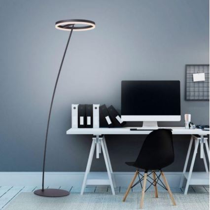 Paul Neuhaus 381-13 - LED ljusreglerad golvlampa  TITUS LED/19,5W/230V