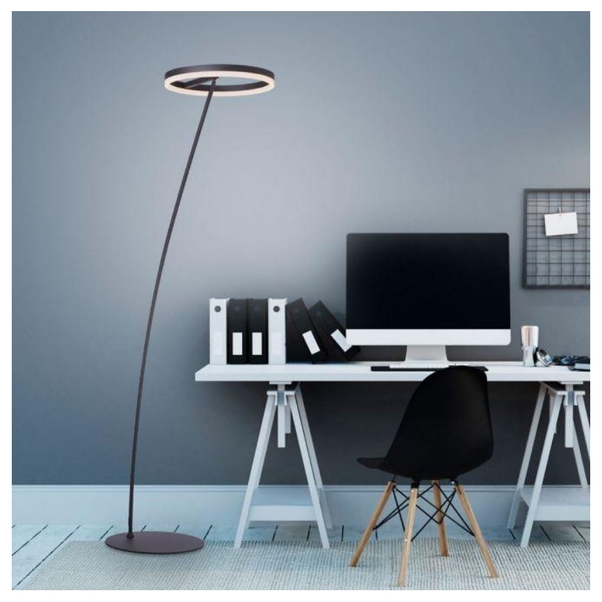 Paul Neuhaus 381-13 - LED ljusreglerad golvlampa  TITUS LED/19,5W/230V