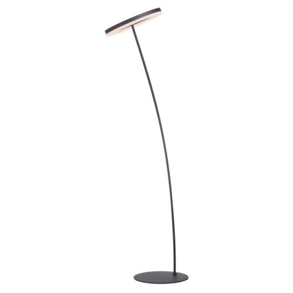 Paul Neuhaus 381-13 - LED ljusreglerad golvlampa  TITUS LED/19,5W/230V