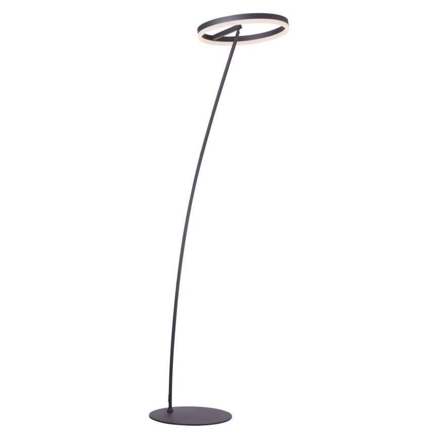 Paul Neuhaus 381-13 - LED ljusreglerad golvlampa  TITUS LED/19,5W/230V