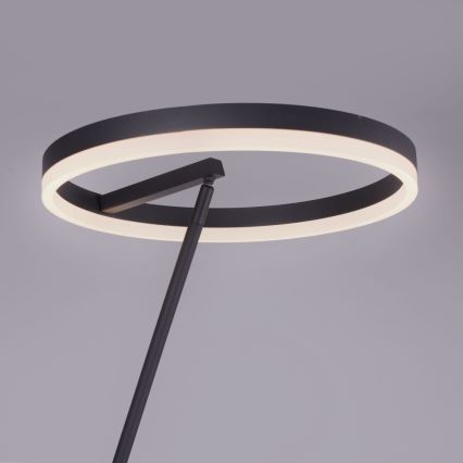 Paul Neuhaus 381-13 - LED ljusreglerad golvlampa  TITUS LED/19,5W/230V