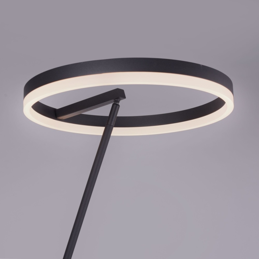 Paul Neuhaus 381-13 - LED ljusreglerad golvlampa  TITUS LED/19,5W/230V
