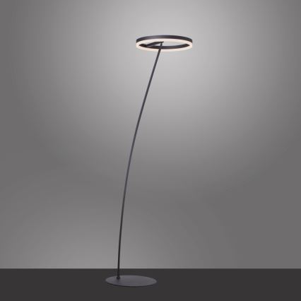 Paul Neuhaus 381-13 - LED ljusreglerad golvlampa  TITUS LED/19,5W/230V