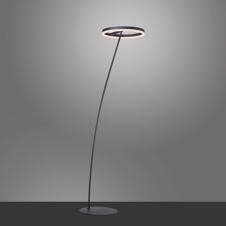Paul Neuhaus 381-13 - LED ljusreglerad golvlampa  TITUS LED/19,5W/230V