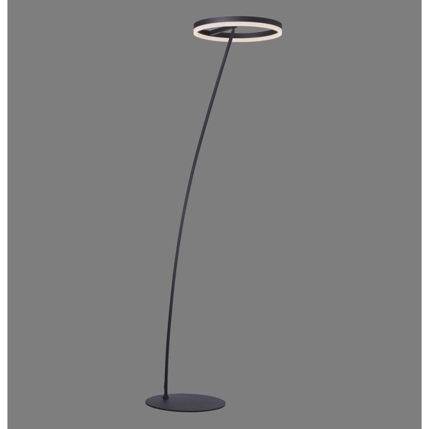 Paul Neuhaus 381-13 - LED ljusreglerad golvlampa  TITUS LED/19,5W/230V