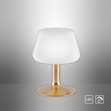 Paul Neuhaus 4078-60 - LED ljusreglerad bordslampa touch TILL 1xG9/3W/230V mässing