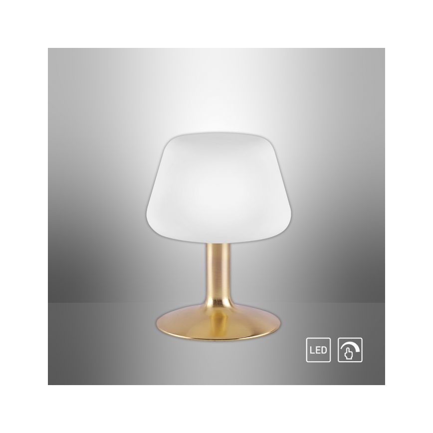 Paul Neuhaus 4078-60 - LED ljusreglerad bordslampa touch TILL 1xG9/3W/230V mässing
