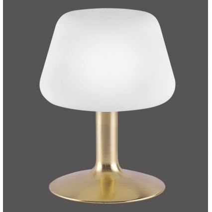 Paul Neuhaus 4078-60 - LED ljusreglerad bordslampa touch TILL 1xG9/3W/230V mässing