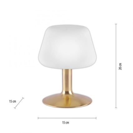 Paul Neuhaus 4078-60 - LED ljusreglerad bordslampa touch TILL 1xG9/3W/230V mässing