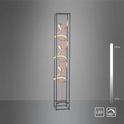 Paul Neuhaus 415-18 - LED Dimbar Golvlampa SELINA 3xLED/10.W/230V
