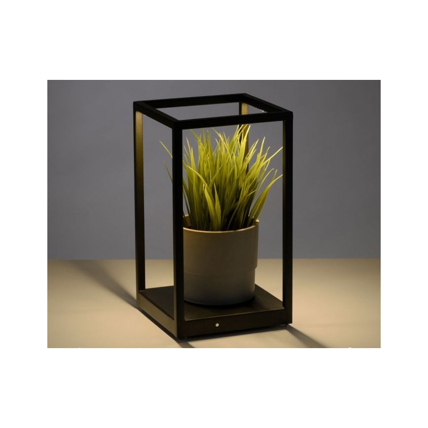 Paul Neuhaus 4401-18 - LED ljusreglerad bordslampa CONTURA 2xLED/2,2W/230V