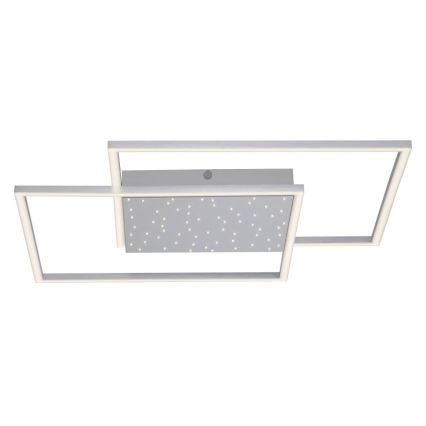 Paul Neuhaus 6024-55 - LED ljusreglerad fastsatt Ljuskrona  YUKI LED/49W/230V + fjärrkontroll 