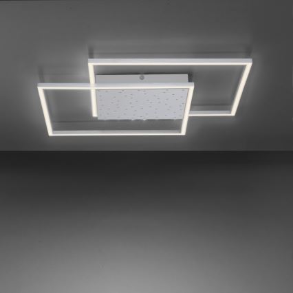 Paul Neuhaus 6024-55 - LED ljusreglerad fastsatt Ljuskrona  YUKI LED/49W/230V + fjärrkontroll 