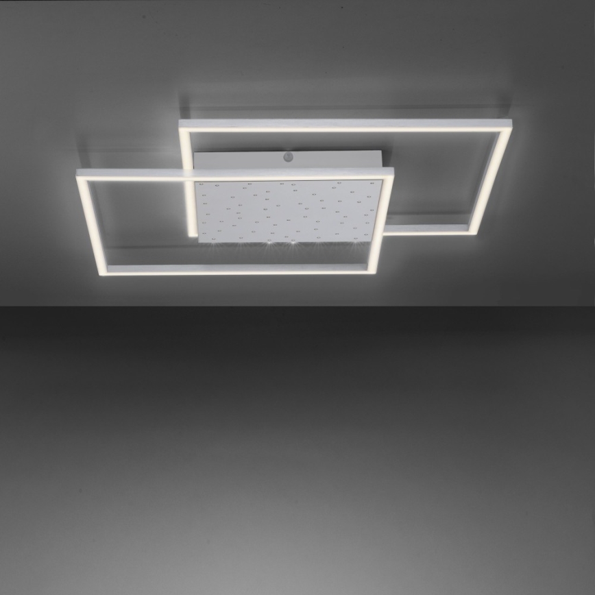 Paul Neuhaus 6024-55 - LED ljusreglerad fastsatt Ljuskrona  YUKI LED/49W/230V + fjärrkontroll 