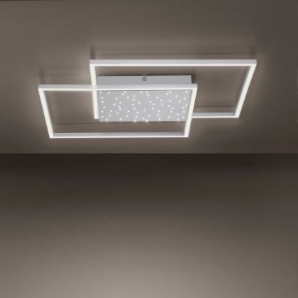 Paul Neuhaus 6024-55 - LED ljusreglerad fastsatt Ljuskrona  YUKI LED/49W/230V + fjärrkontroll 