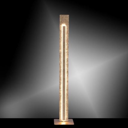 Paul Neuhaus 603-12 - LED Golvlampa NEVIS LED/27W/230V