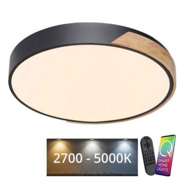 Paul Neuhaus 6071-18 - LED Dimbar taklampa Q-PIATO LED/35W/230V diameter 51 cm 2700-5000K Wi-Fi + fjärrkontroll