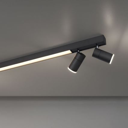 Paul Neuhaus 6121-13 - LED dimbar spotlight PURE 4xLED/4W/230V + LED/9W 2700-5000K + fjärrkontroll
