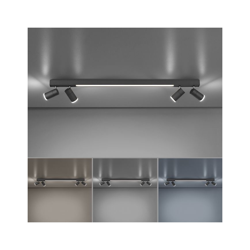 Paul Neuhaus 6121-13 - LED dimbar spotlight PURE 4xLED/4W/230V + LED/9W 2700-5000K + fjärrkontroll