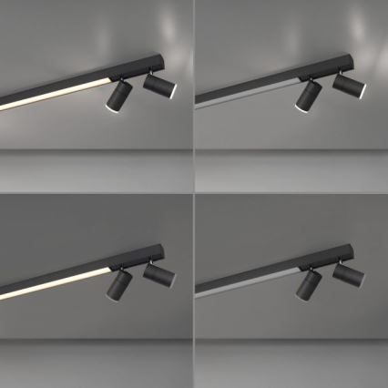 Paul Neuhaus 6121-13 - LED ljusreglerad spotlight PURE 4xLED/4W/230V + LED/9W 2700-5000K + fjärrkontroll