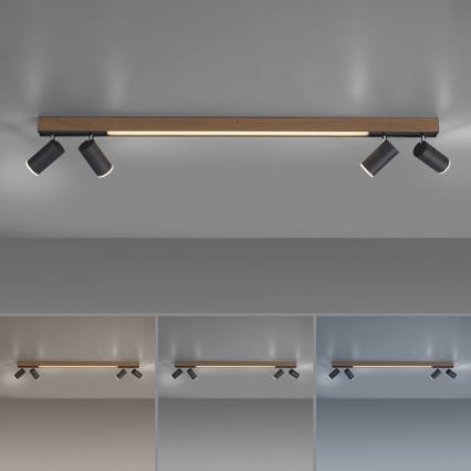 Paul Neuhaus 6121-79 - LED ljusreglerad spotlight PURE 4xLED/4W/230V + LED/9W 2700-5000K + fjärrkontroll