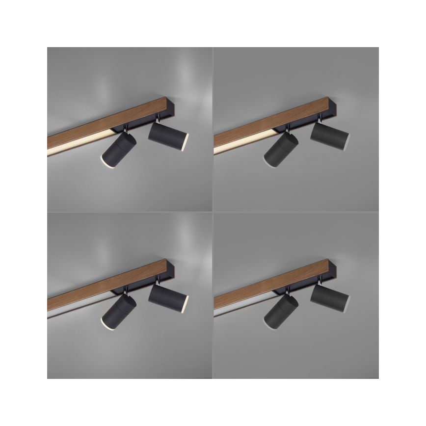 Paul Neuhaus 6121-79 - LED ljusreglerad spotlight PURE 4xLED/4W/230V + LED/9W 2700-5000K + fjärrkontroll