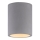 Paul Neuhaus 6160-22 - Spotlight ETON 1xGU10/10W/230V betong