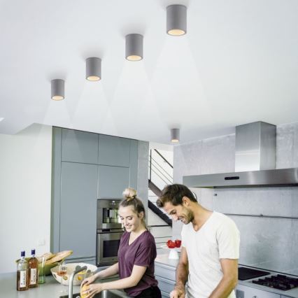 Paul Neuhaus 6160-22 - Spotlight ETON 1xGU10/10W/230V betong