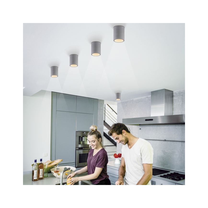 Paul Neuhaus 6160-22 - Spotlight ETON 1xGU10/10W/230V betong