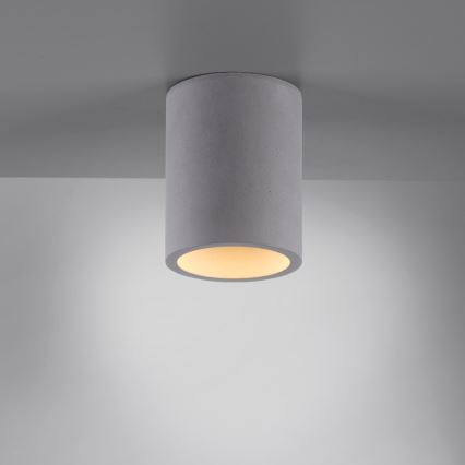 Paul Neuhaus 6160-22 - Spotlight ETON 1xGU10/10W/230V betong