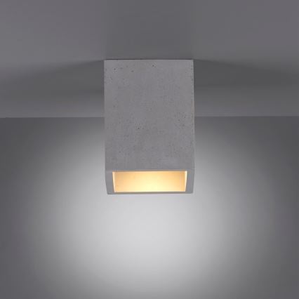 Paul Neuhaus 6161-22 - Spotlight ETON 1xGU10/10W/230V betong