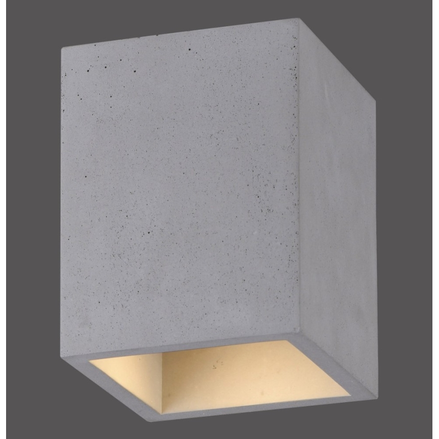 Paul Neuhaus 6161-22 - Spotlight ETON 1xGU10/10W/230V betong