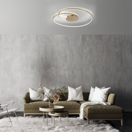 Paul Neuhaus 6189-12 - LED Dimbar taklampa NASTRO LED/26W/230V