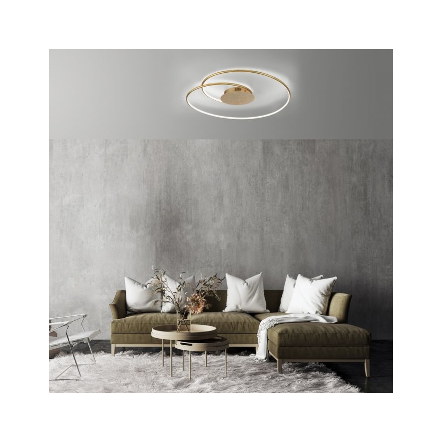 Paul Neuhaus 6189-12 - LED Dimbar taklampa NASTRO LED/26W/230V