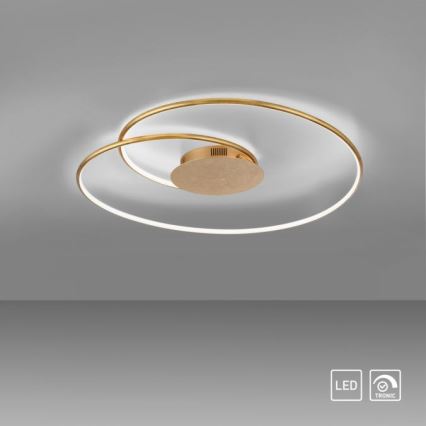 Paul Neuhaus 6189-12 - LED Dimbar taklampa NASTRO LED/26W/230V