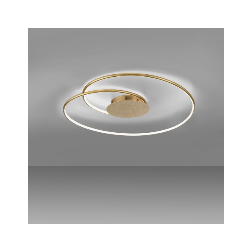 Paul Neuhaus 6189-12 - LED Dimbar taklampa NASTRO LED/26W/230V
