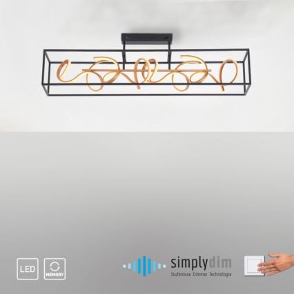 Paul Neuhaus 6473-18 - LED Dimbar Hängande Ljuskrona SELINA 4xLED/10,2W/230V
