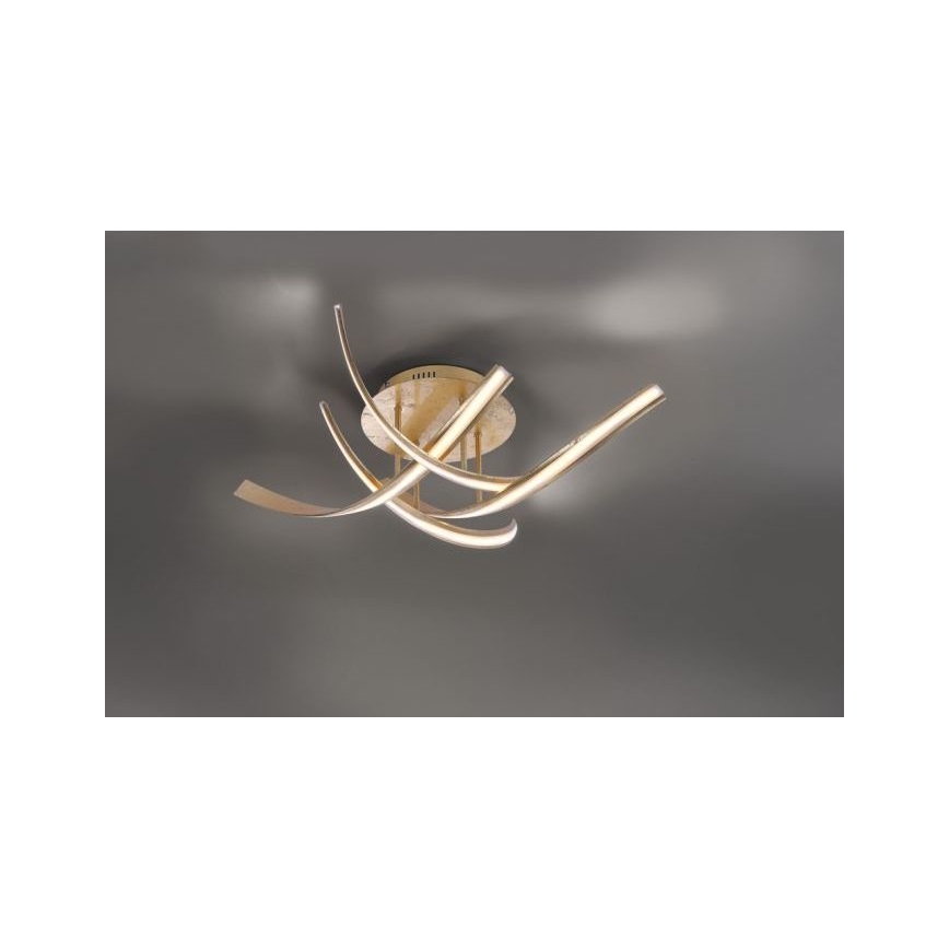 Paul Neuhaus 6474-12 - Dimbar LED ytmonterad ljuskrona LINDA 4xLED/7W/230V