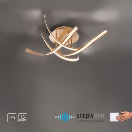 Paul Neuhaus 6474-12 - Dimbar LED ytmonterad ljuskrona LINDA 4xLED/7W/230V