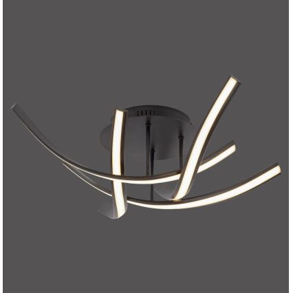 Paul Neuhaus 6474-48 - Dimbar LED ytmonterad ljuskrona LINDA 4xLED/7W/230V
