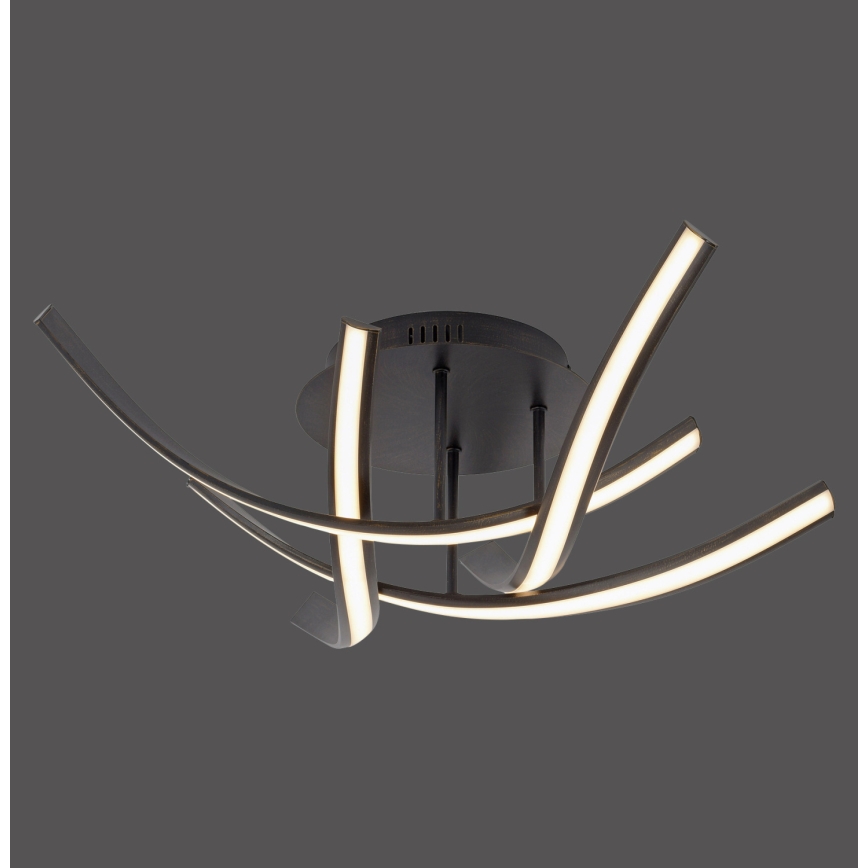 Paul Neuhaus 6474-48 - Dimbar LED ytmonterad ljuskrona LINDA 4xLED/7W/230V