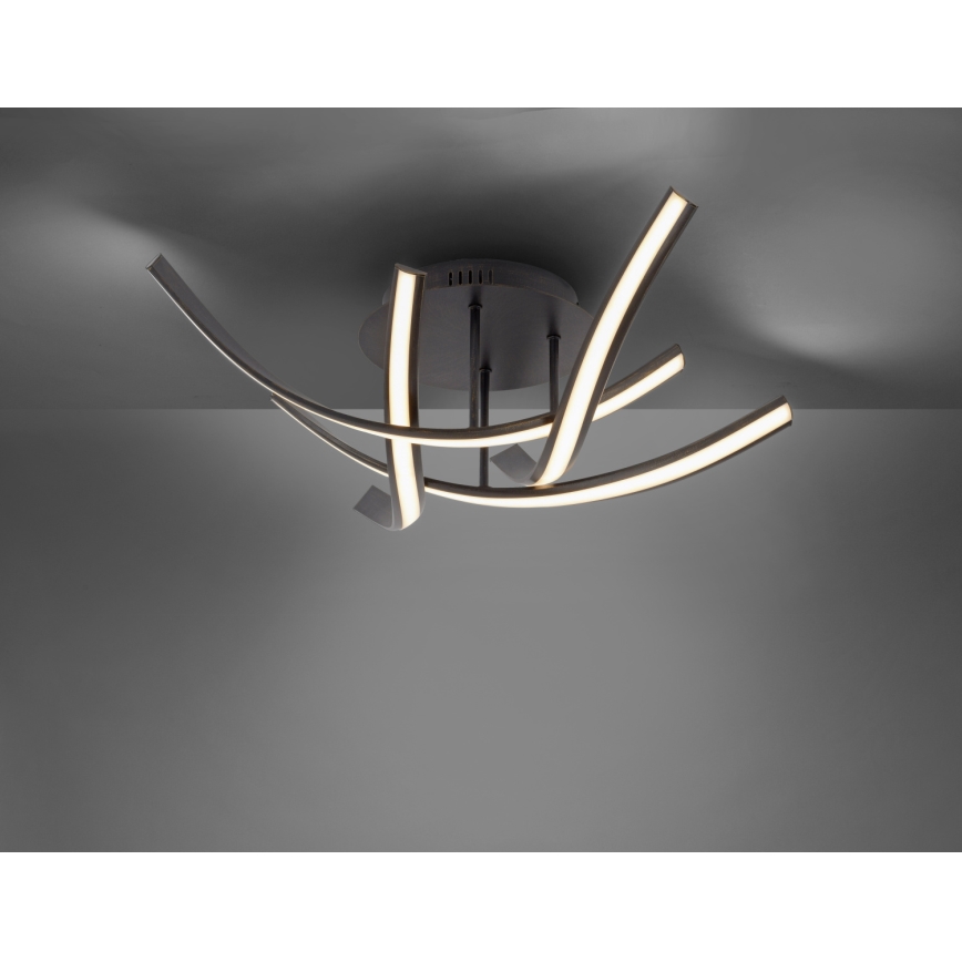 Paul Neuhaus 6474-48 - Dimbar LED ytmonterad ljuskrona LINDA 4xLED/7W/230V