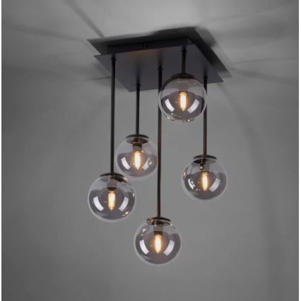 Paul Neuhaus 6719-18 - LED hängande Ljuskrona  WIpåW 5xG9/3W/230V
