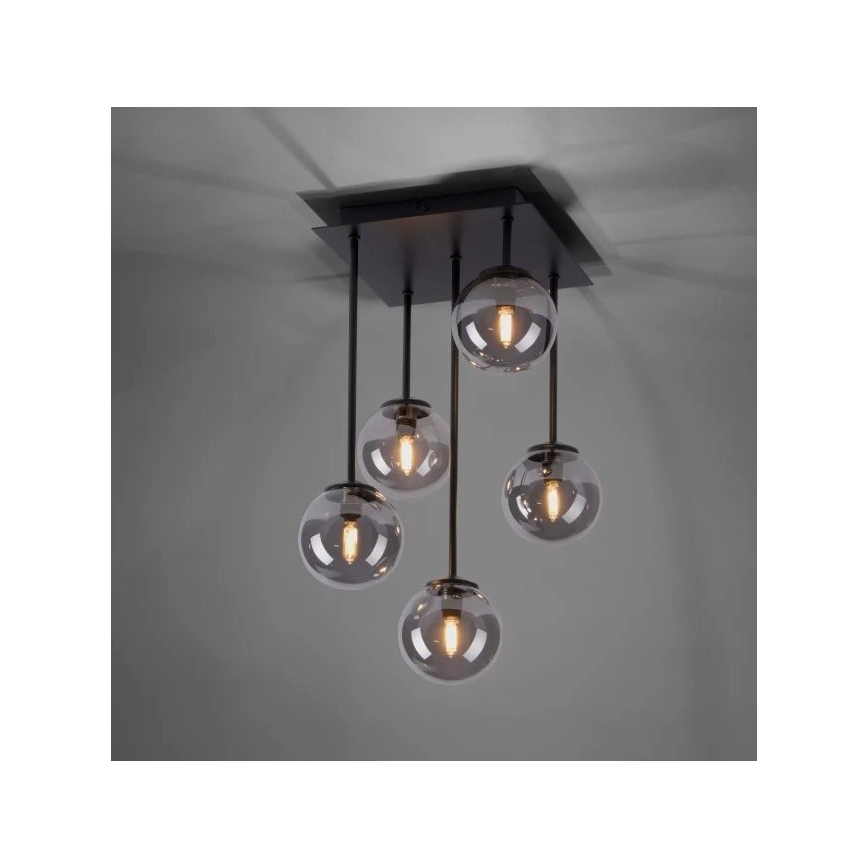 Paul Neuhaus 6719-18 - LED hängande Ljuskrona  WIpåW 5xG9/3W/230V