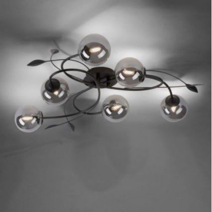 Paul Neuhaus 6737-18 - LED fastsatt Ljuskrona  WIpåW 6xG9/3W/230V