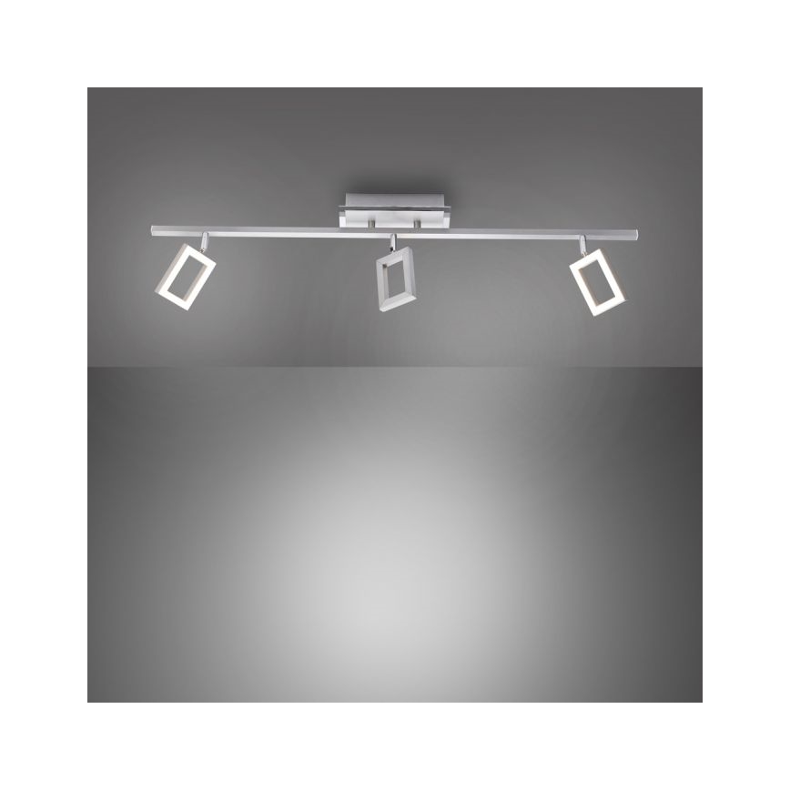 Paul Neuhaus 6959-55 - LED spotlight  INIGO 3xLED/4,2W/230V