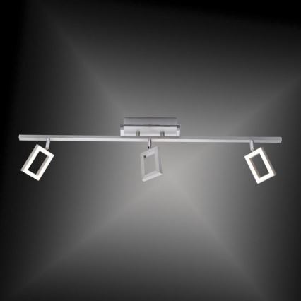 Paul Neuhaus 6959-55 - LED spotlight  INIGO 3xLED/4,2W/230V