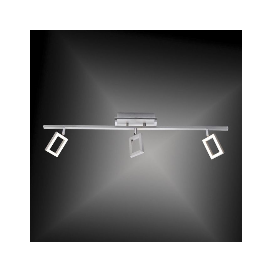 Paul Neuhaus 6959-55 - LED spotlight  INIGO 3xLED/4,2W/230V