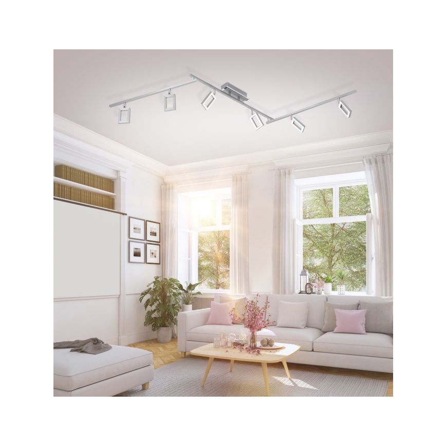 Paul Neuhaus 6965-55 - LED Dimbar spotlight INIGO 6xLED/4W/230V
