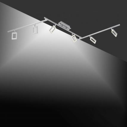 Paul Neuhaus 6965-55 - LED Dimbar spotlight INIGO 6xLED/4W/230V